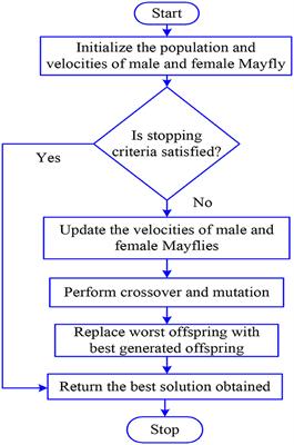 Mayfly optimistic hyperelliptic curve cryptosystem